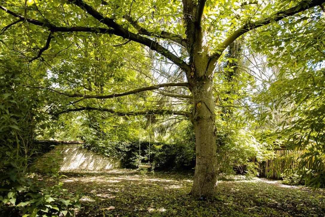 Le Gite Du Jardin Des Secrets Ναμούρ Εξωτερικό φωτογραφία